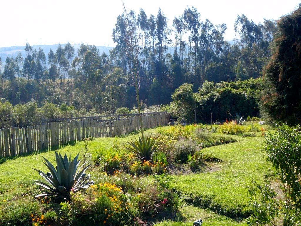 Hosteria Hotel Cuello De Luna - Cotopaxi - Country Inn Lasso ภายนอก รูปภาพ